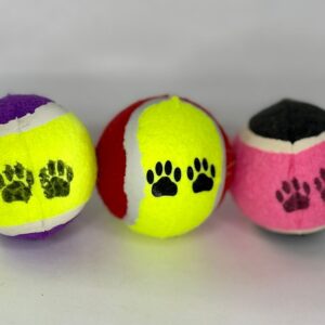 PELOTA TENIS GRANDE X3 JUG004