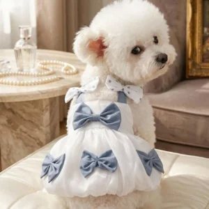 VESTIDO MOÑO CELESTE