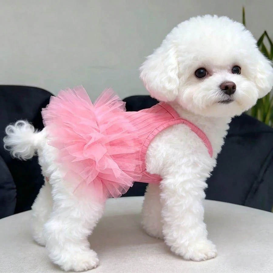 VESTIDO PONPON TUL