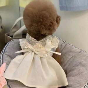 VESTIDO CON ENCAJE EN EL CUELLO Y LASO