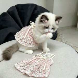 VESTIDO TODO BORDADO