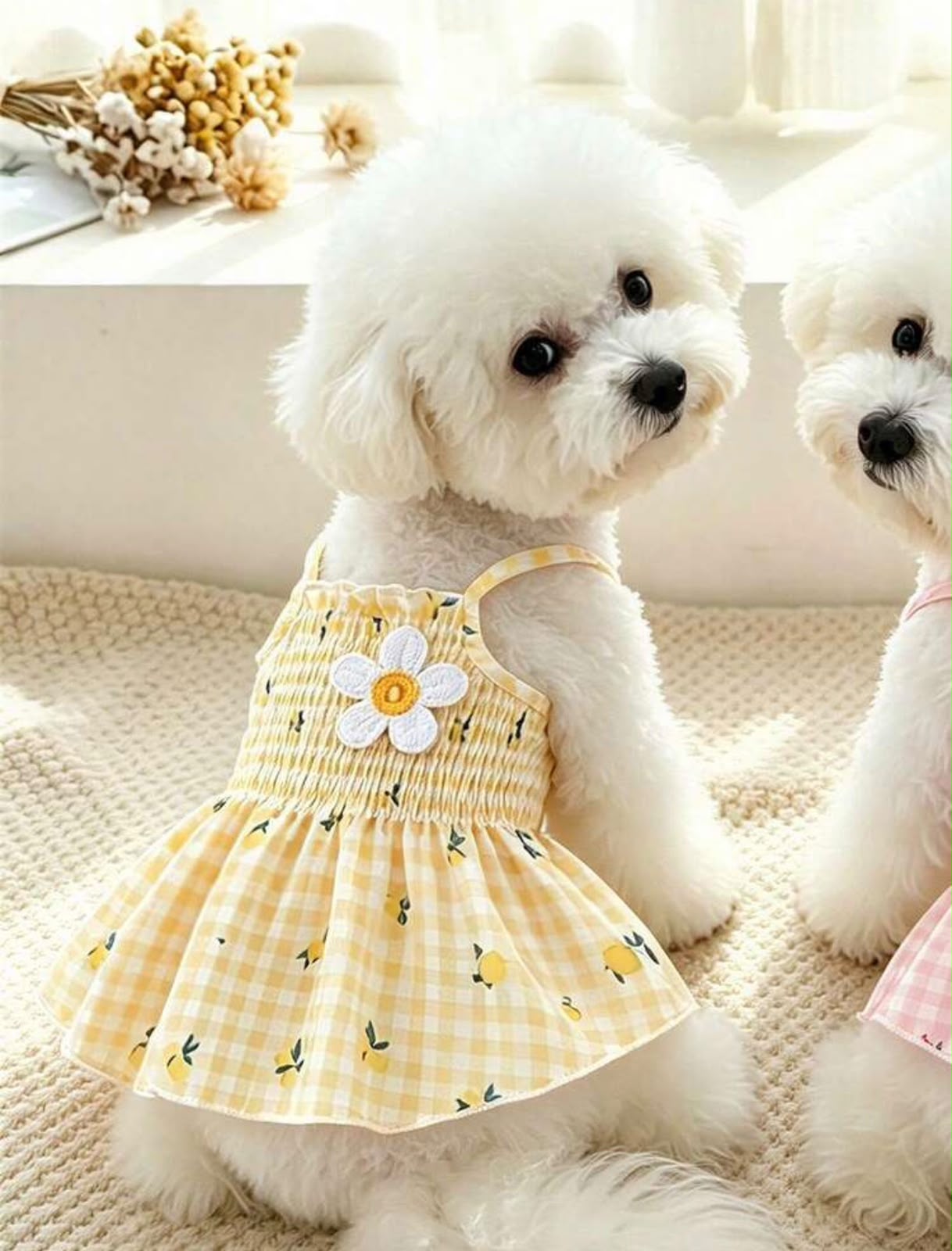 VESTIDO FLOR A CUADROS C/LIMONES - Imagen 4