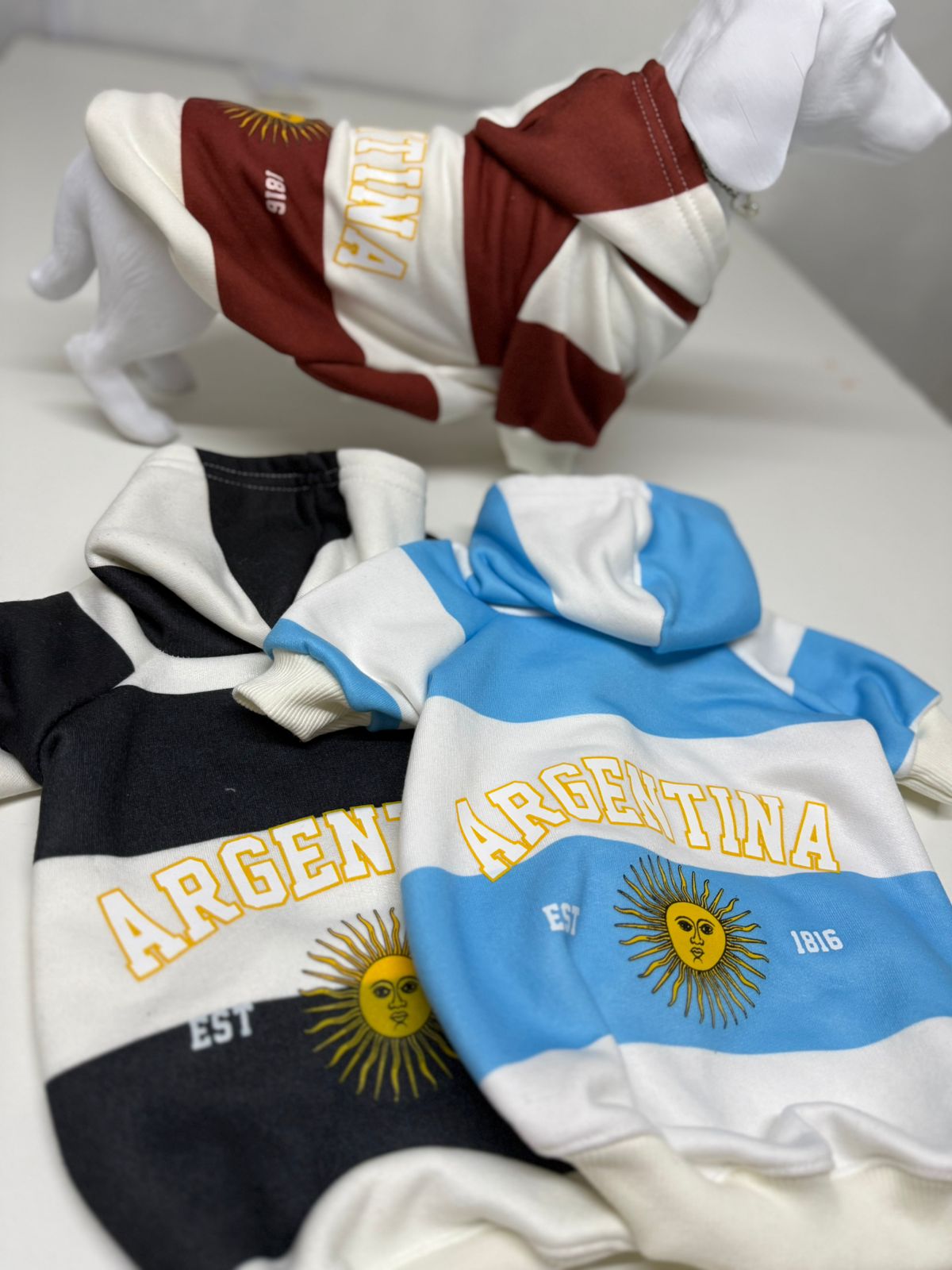 PEQUEÑOS CAMPEONES