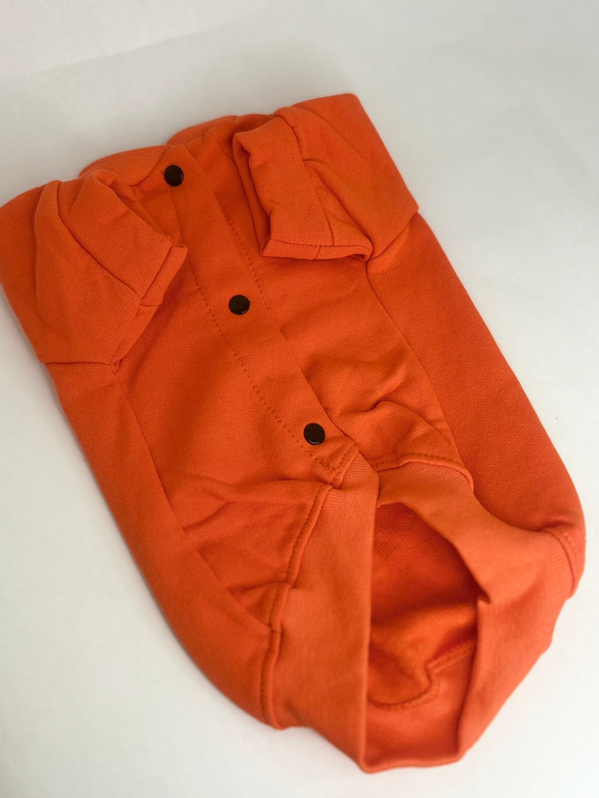 CAMPERA ANIMADA - Imagen 3