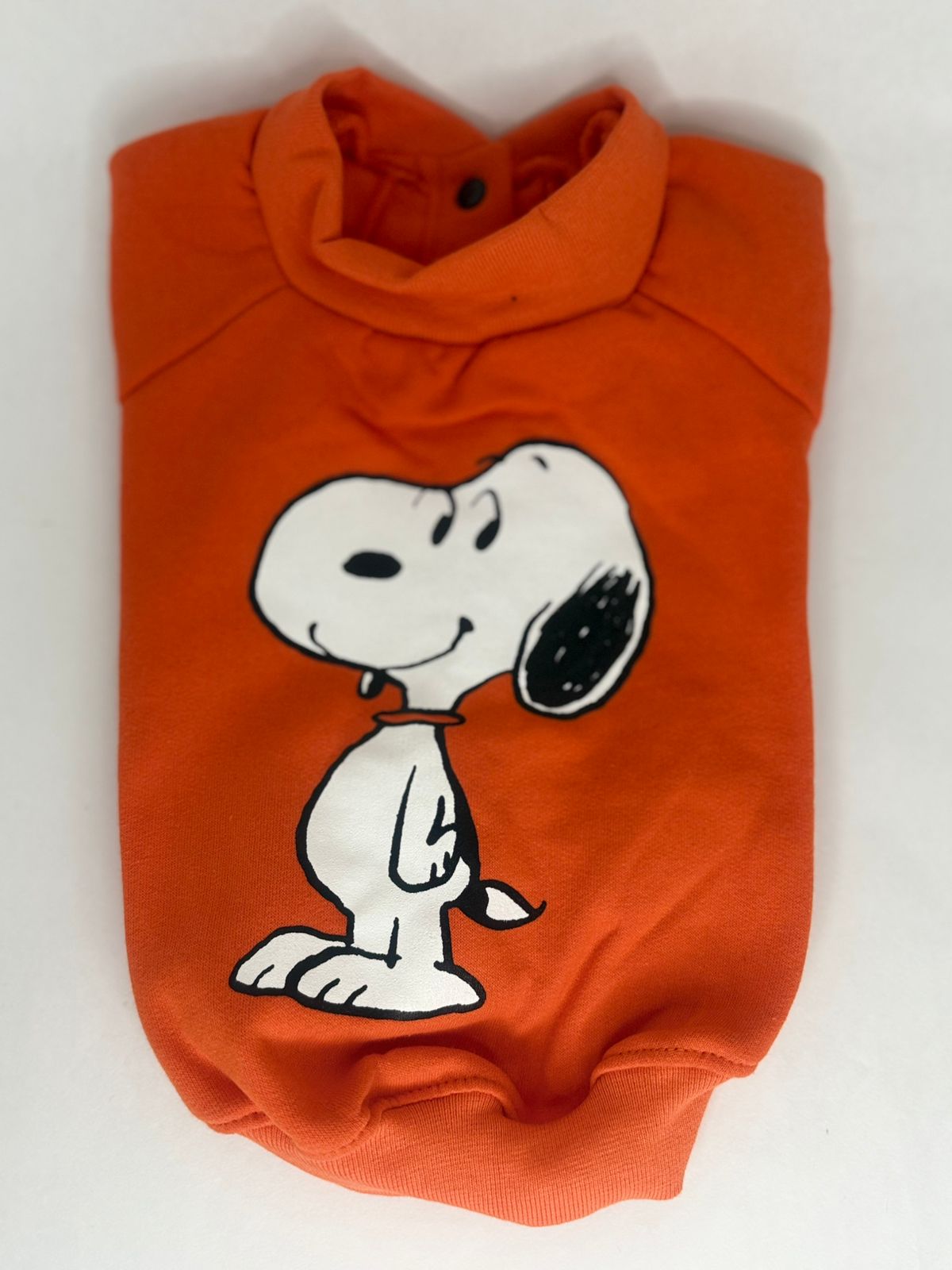 CAMPERA ANIMADA - Imagen 4