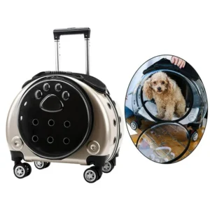 CARRY ON HUELLA CIRCULAR