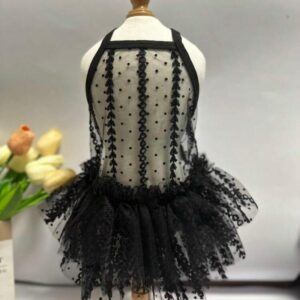 VESTIDO DE ENCANJE TRANSPARENTE