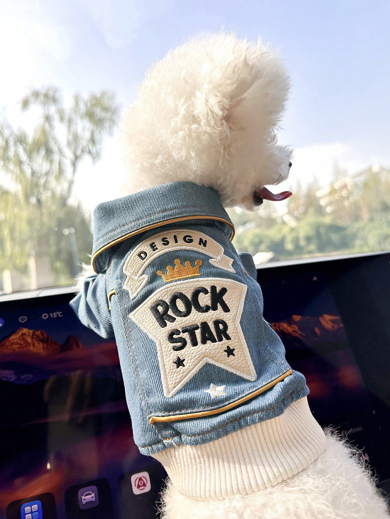 CAMPERA ROCK