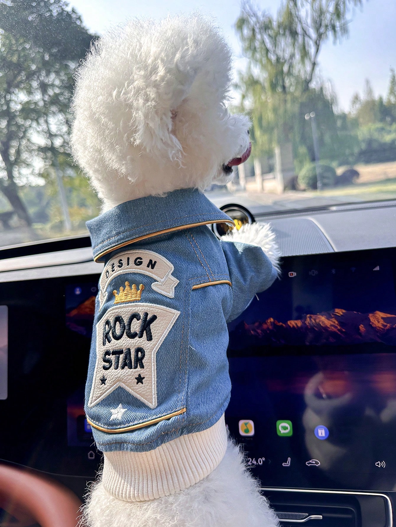 CAMPERA ROCK - Imagen 3