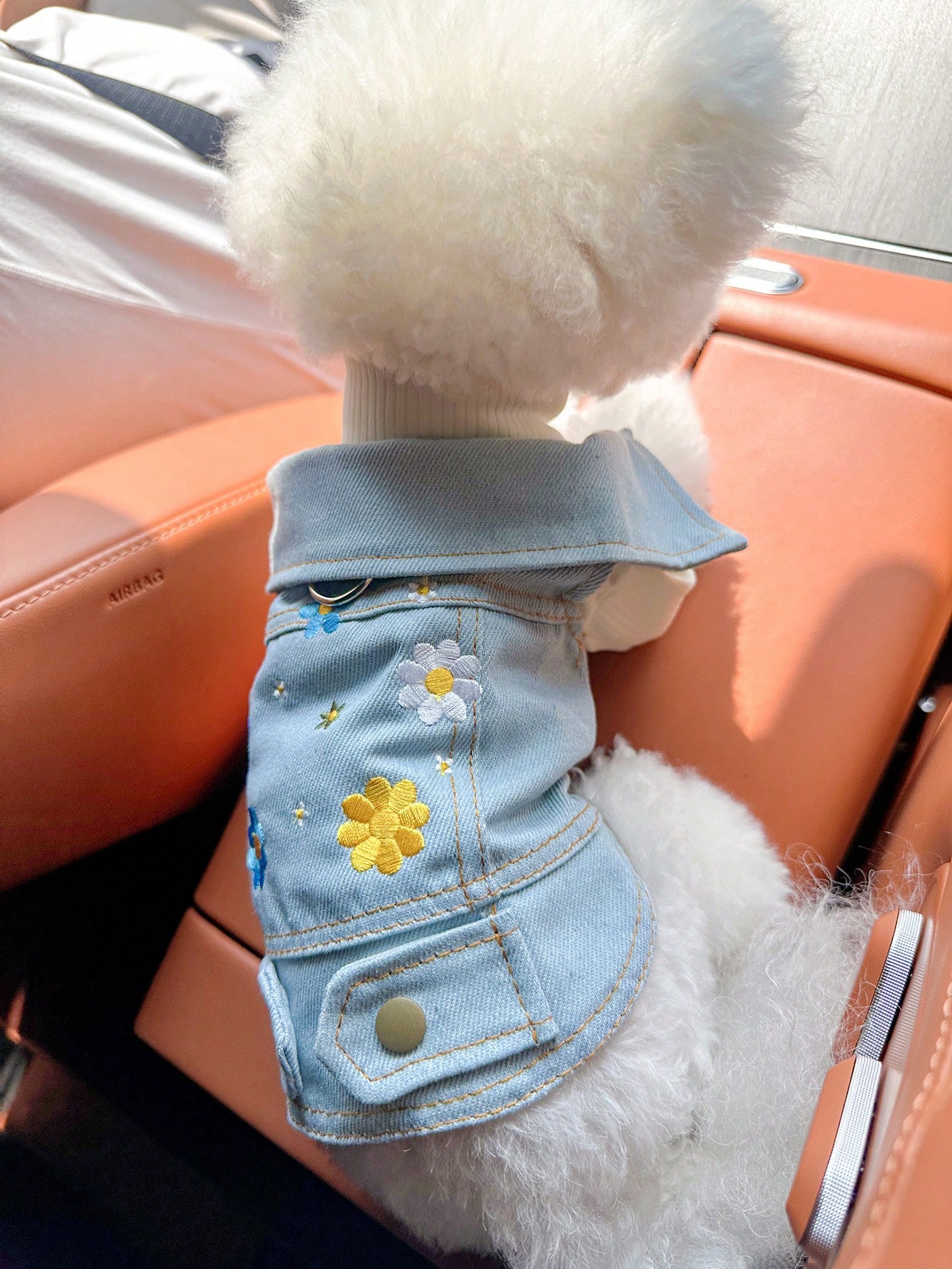 CAMPERA BORDADA DE MARGARITA - Imagen 4