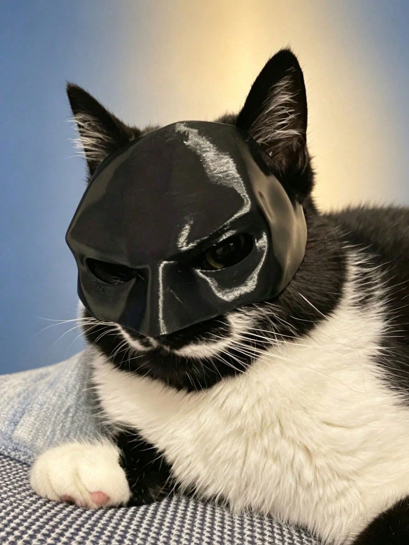 MASCARA BATMAN - Imagen 5