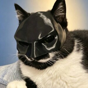 MASCARA BATMAN