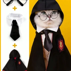 CONJUNTO DE DISFRAZ COLEGIO